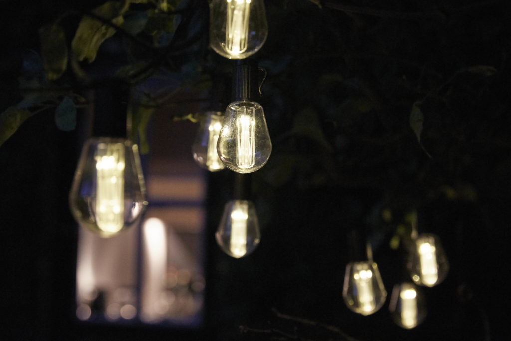 Solar lights on strings lit up at night time