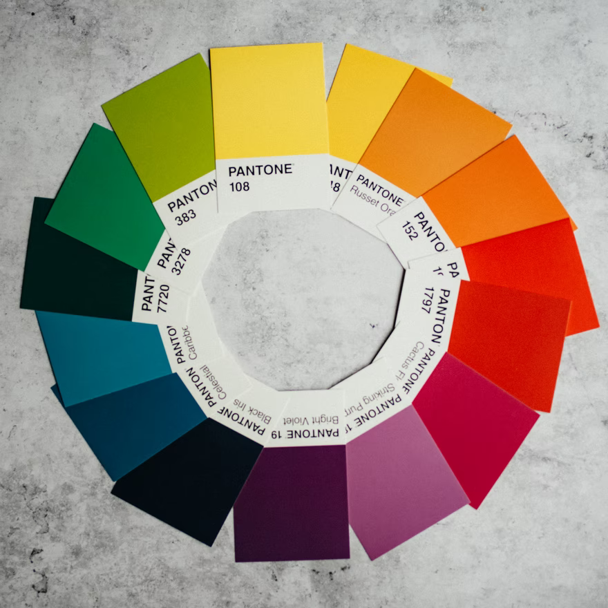 A colour wheel is laid out in paint swatches on a concrete surface.