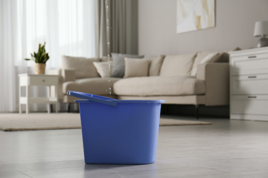 Water dripping from ceiling into plastic bucket on floor in living room. Leaking roof