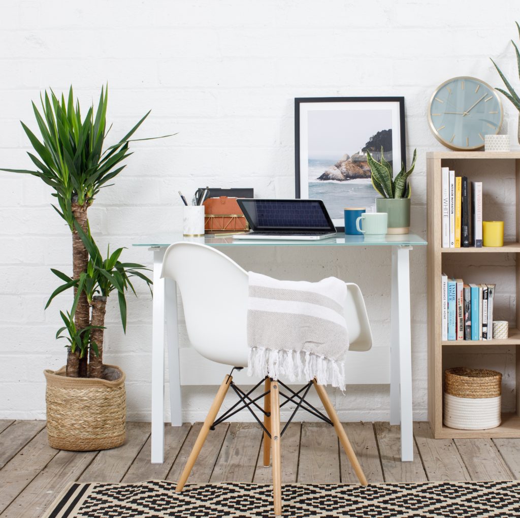 Minimalist desk with shelving and plants surrounding it