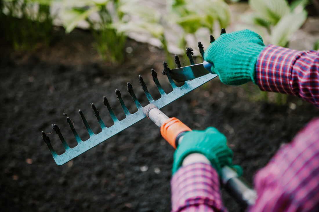 rake