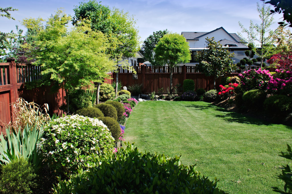 A well kept garden