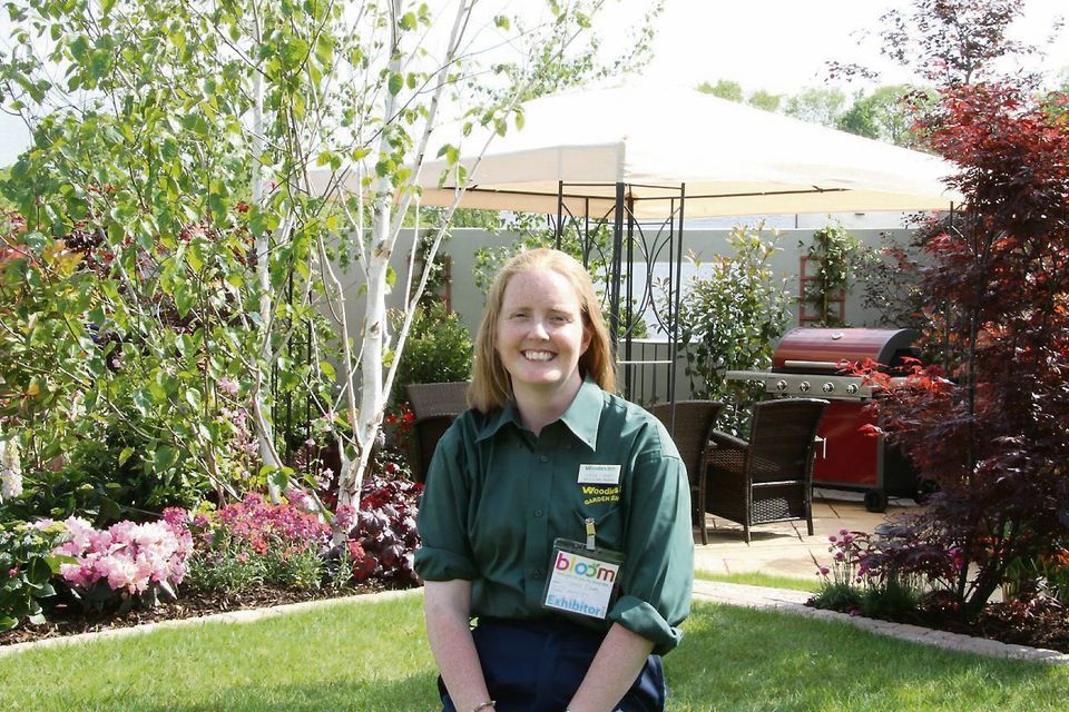 Headshot of woodies expert