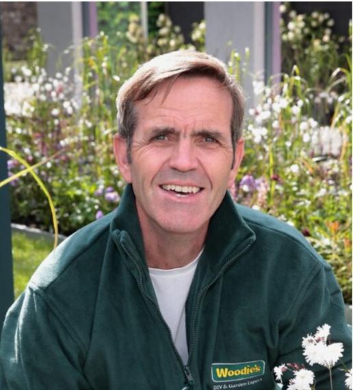 Picture of brian burke, woodies expert