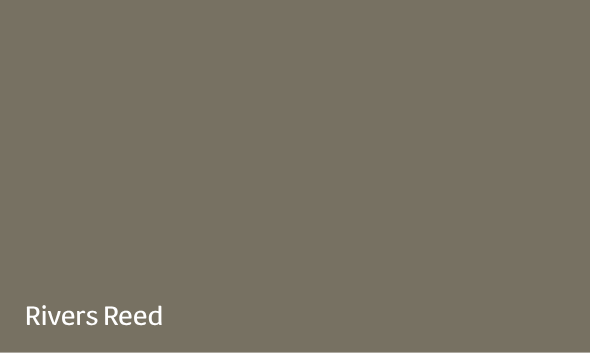 Rivers Reed paint colour swatch, a muted warm grey with subtle green undertones.