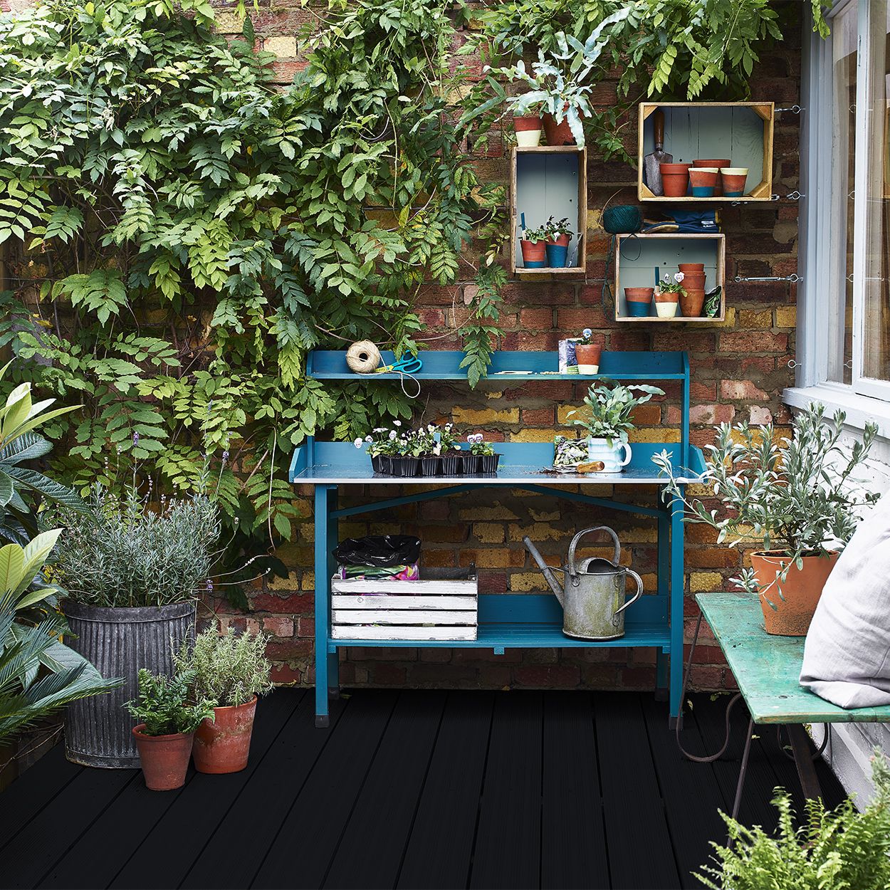 Cuprinol black shop ash decking stain
