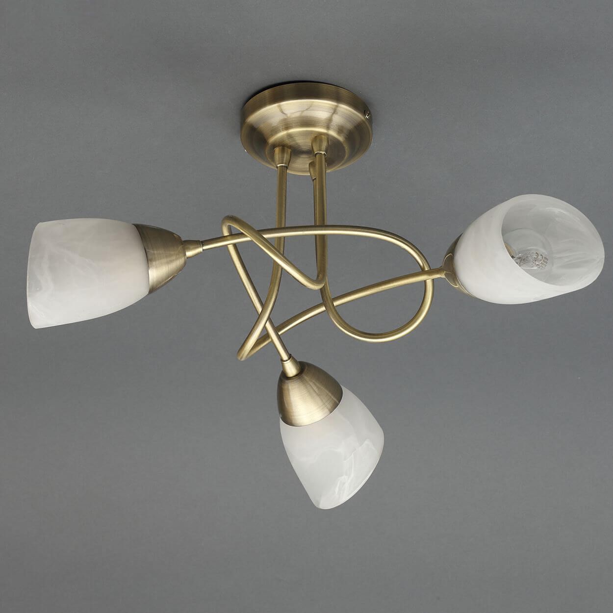 Woodies on sale light fittings
