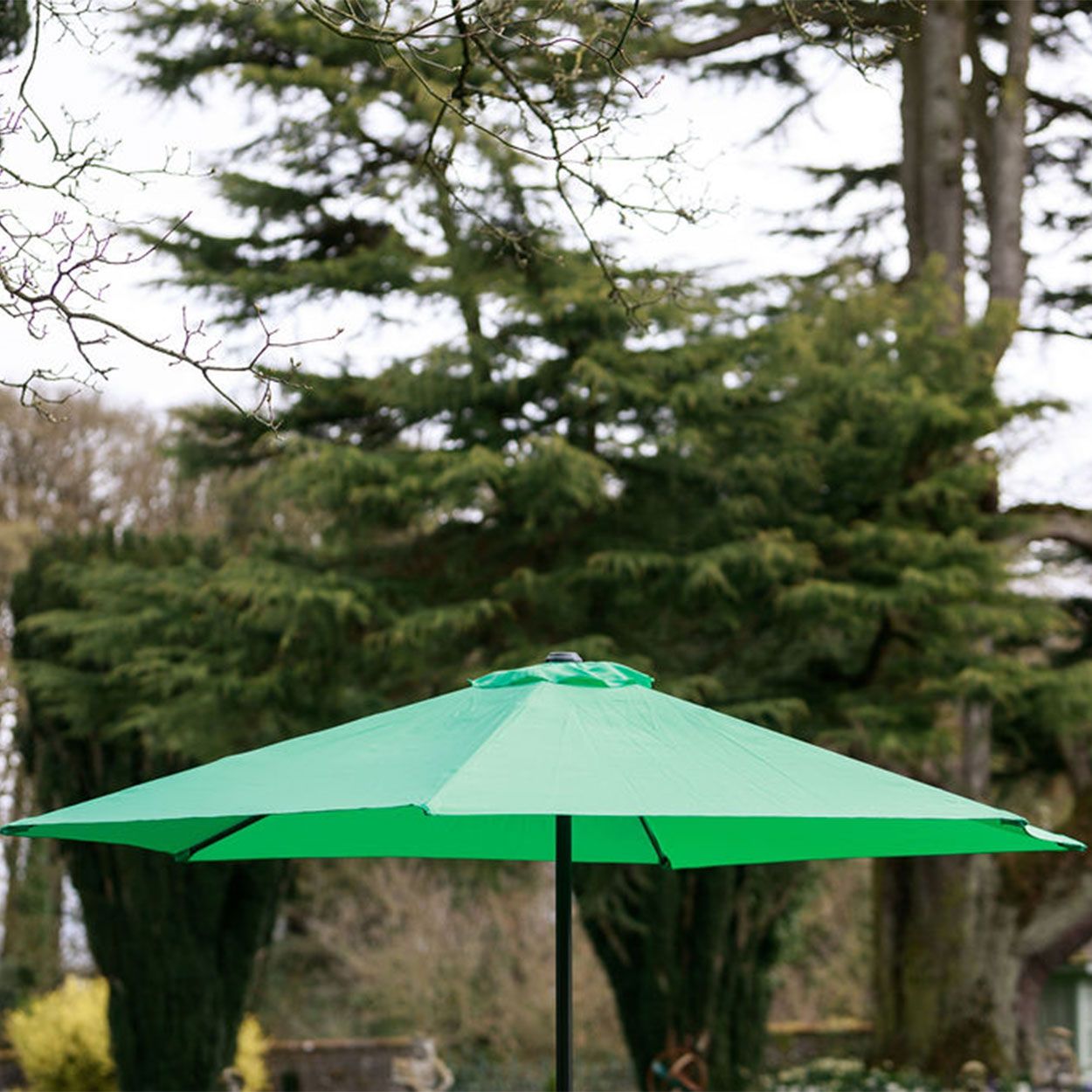 woodies sun parasols