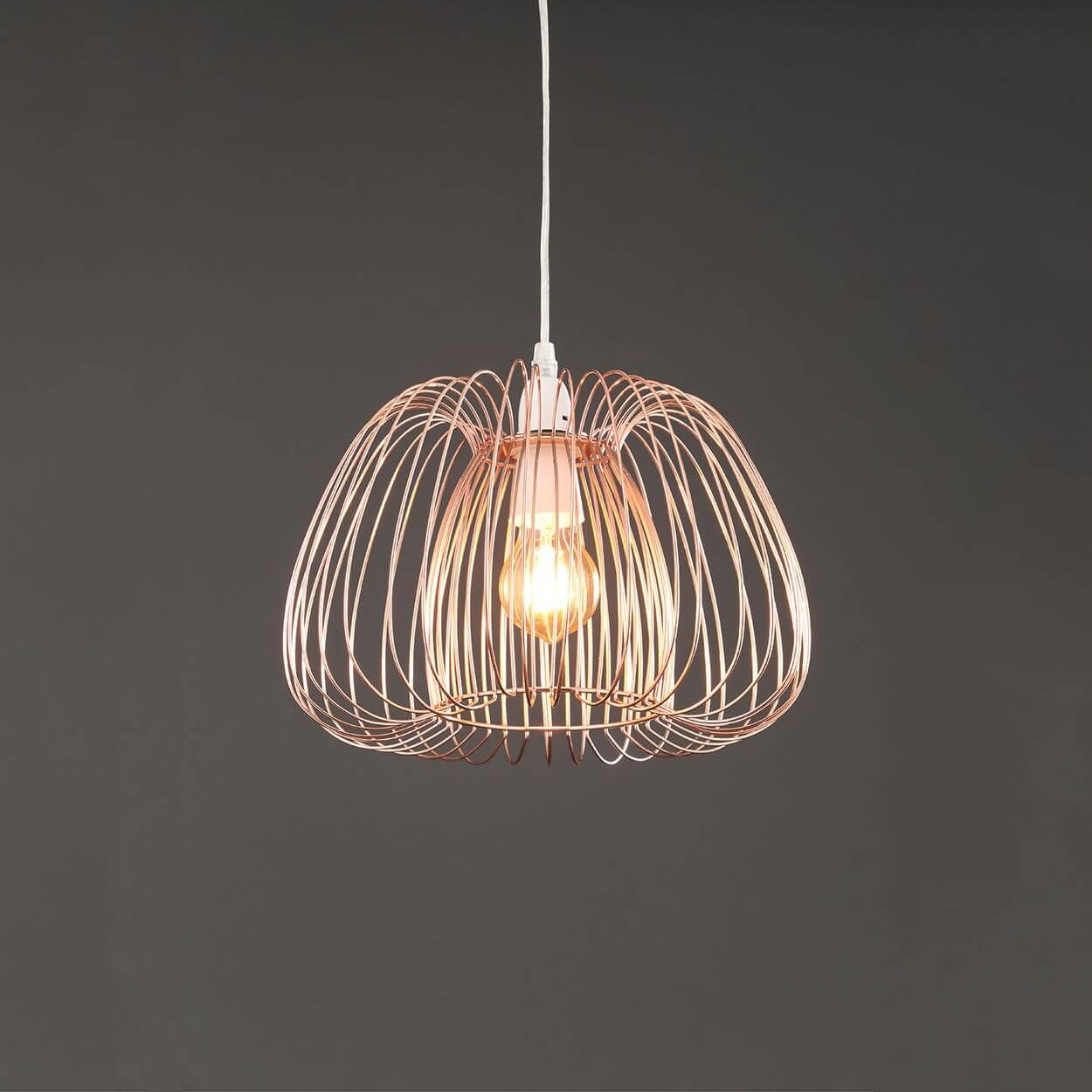 Woodies ceiling store lights