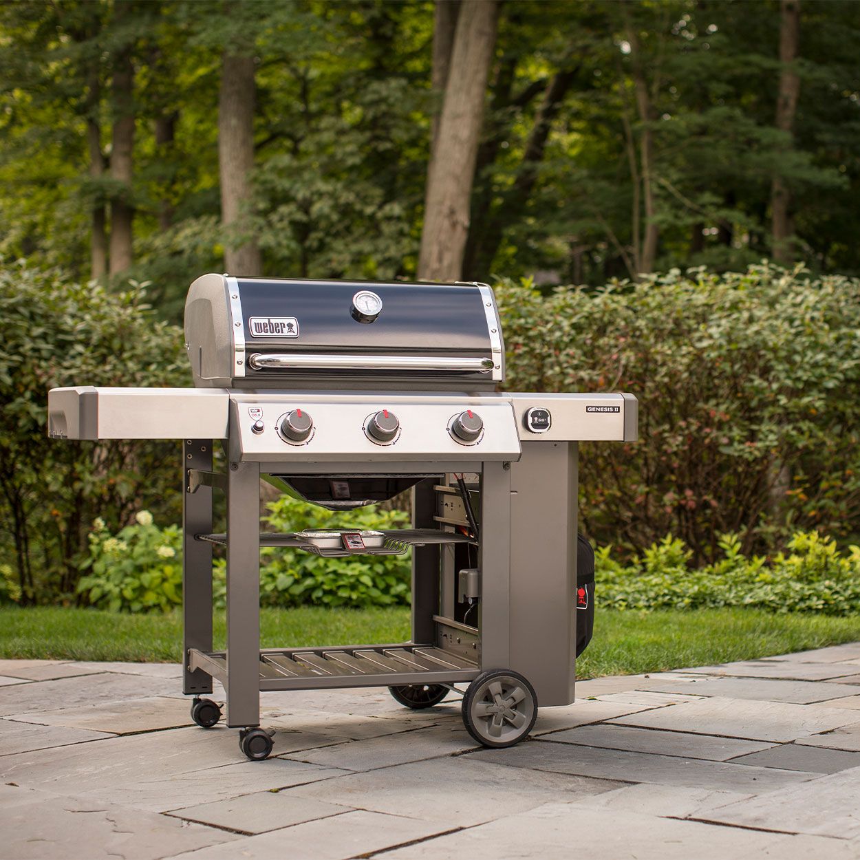 Weber bbq woodies hotsell