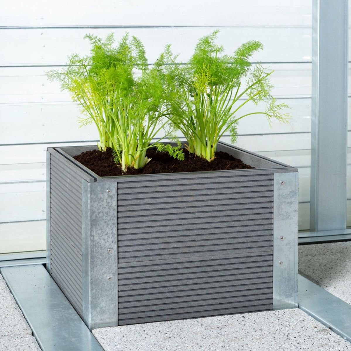Adman Multigrow Small Planter