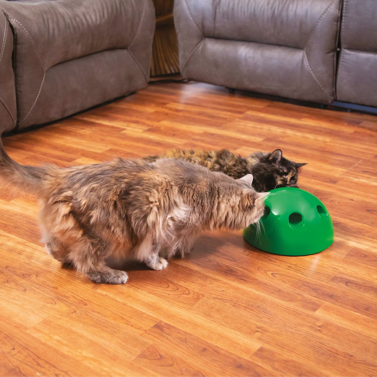 Cat toy pop and cheap play