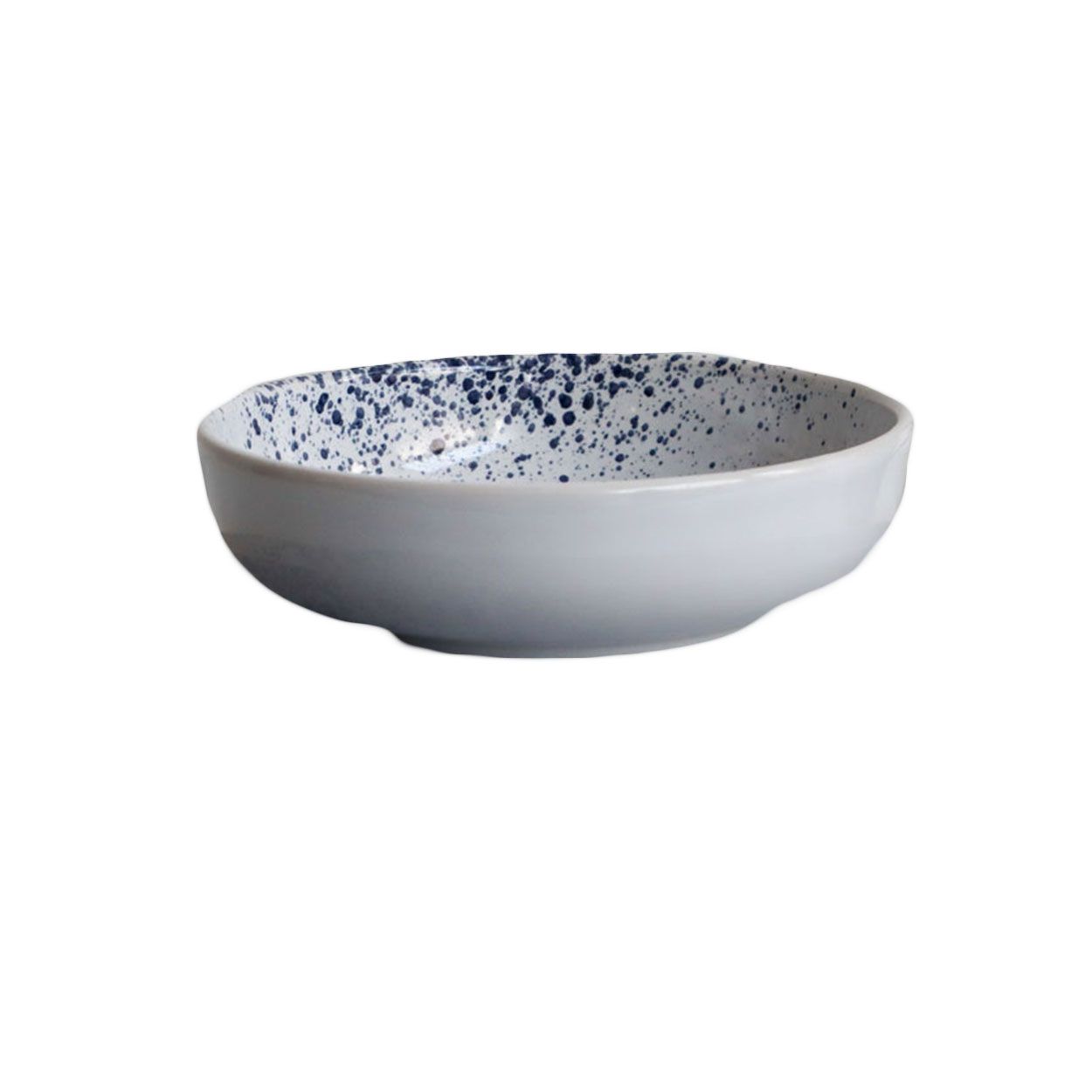 Speckle Bowl