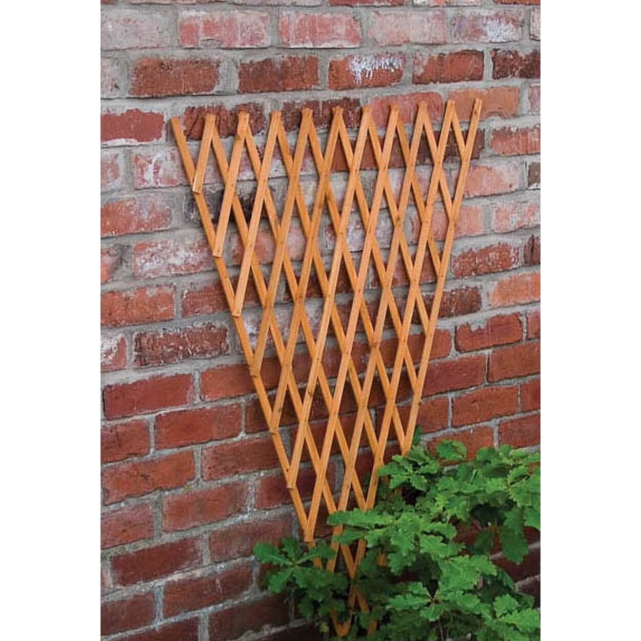 The Good Life Timber Fan Trellis 1 8 X 0 94m Woo S Life Timber Fan Trellis 1 8 X 0 94m, Wooden Garden Fan Trellis Uk