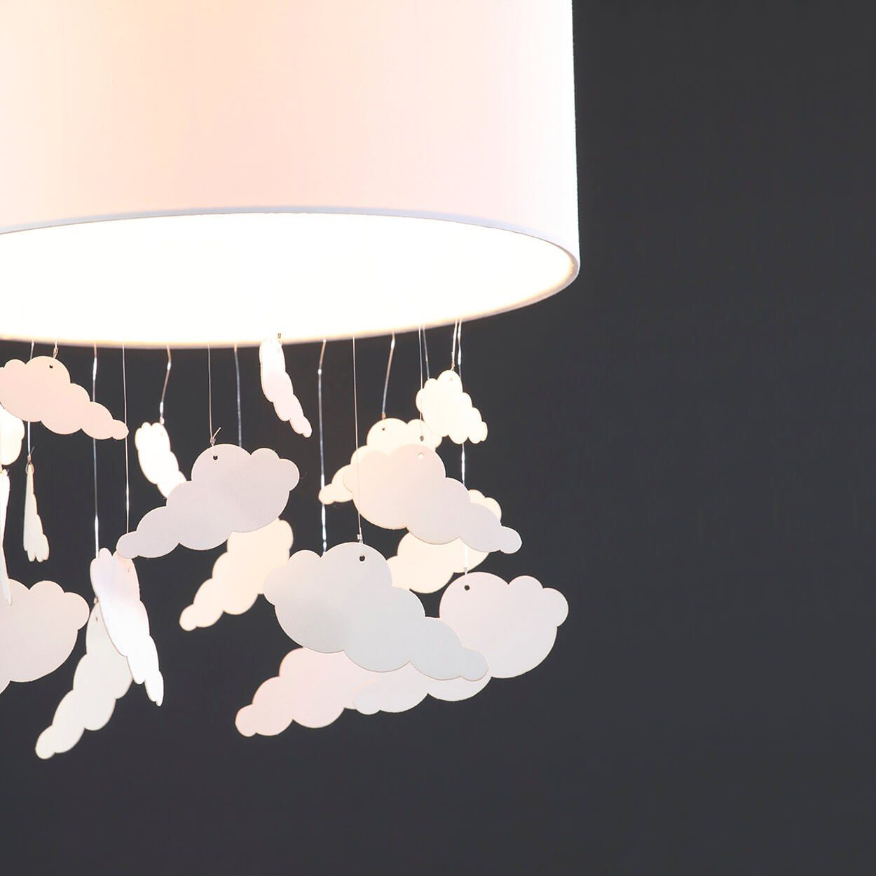 Woodies ceiling light shades top