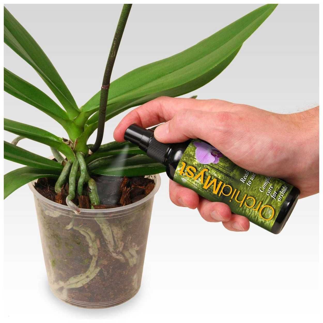 Growth Technology Orchid Myst 100ml