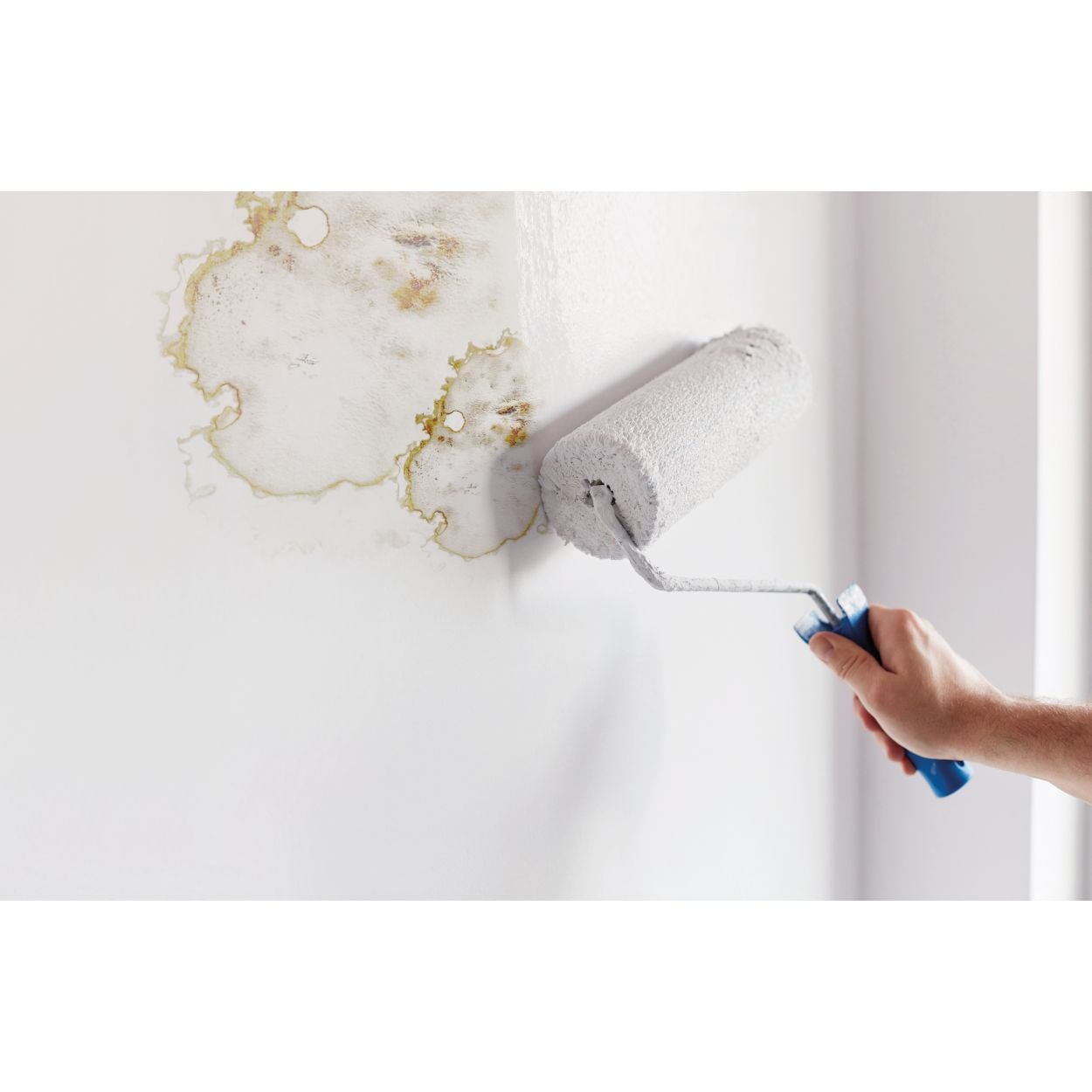 Ronseal 750ml 6 Year Anti Mould Paint White Matt