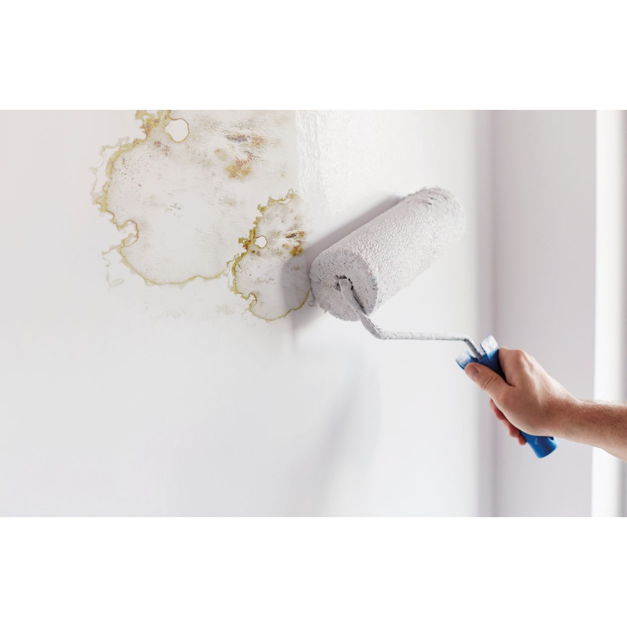 Ronseal 2.5L 6 Year Anti Mould Paint White Silk
