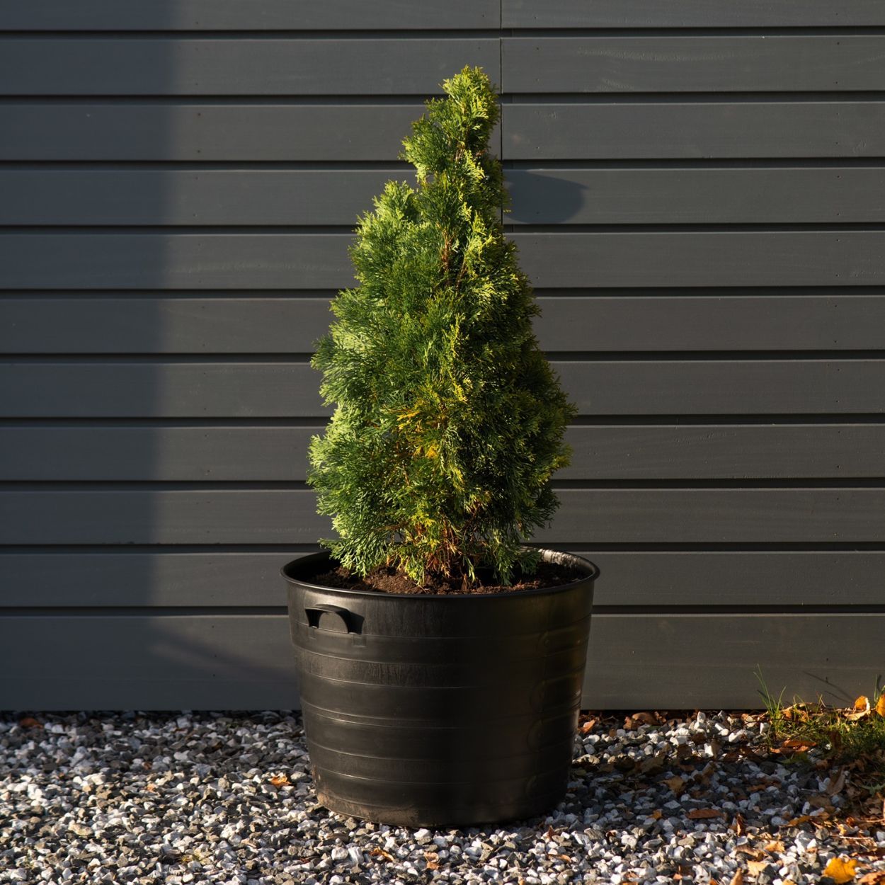 Blacksmith Planter 50cm