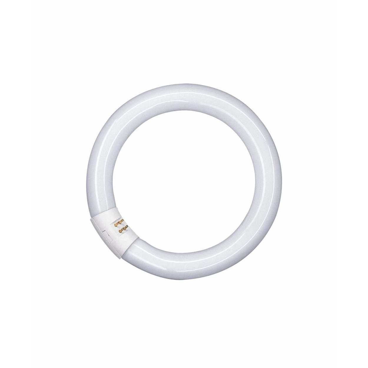 Osram 32W G10Q T9 Circular Fluorescent Cool White Bulb