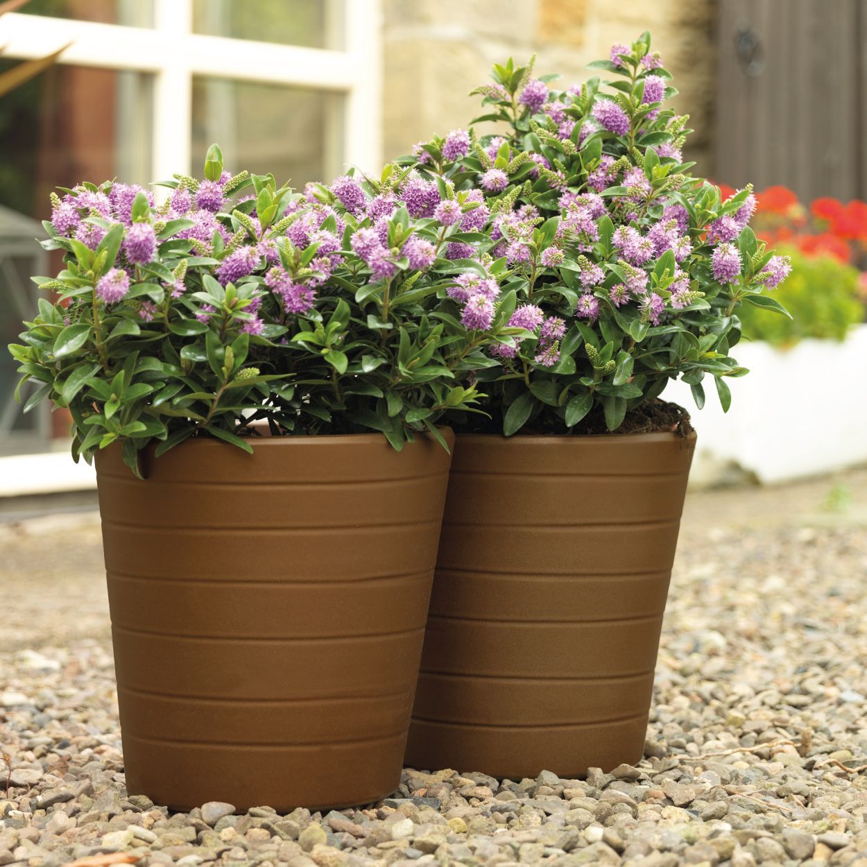 Rust-Oleum Painters Touch Natural Effects Cast Bronze