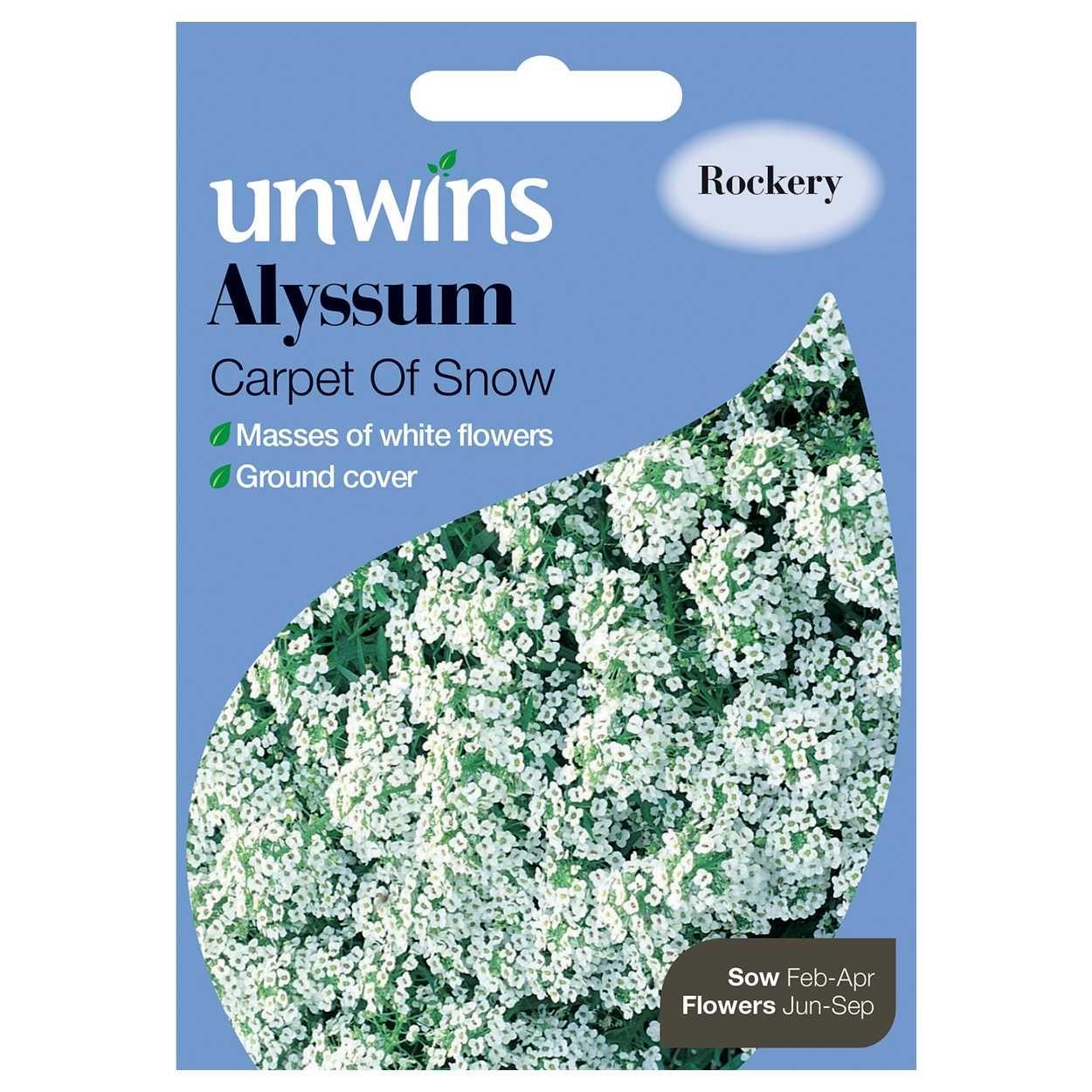 Alyssum Carpet Of Snow