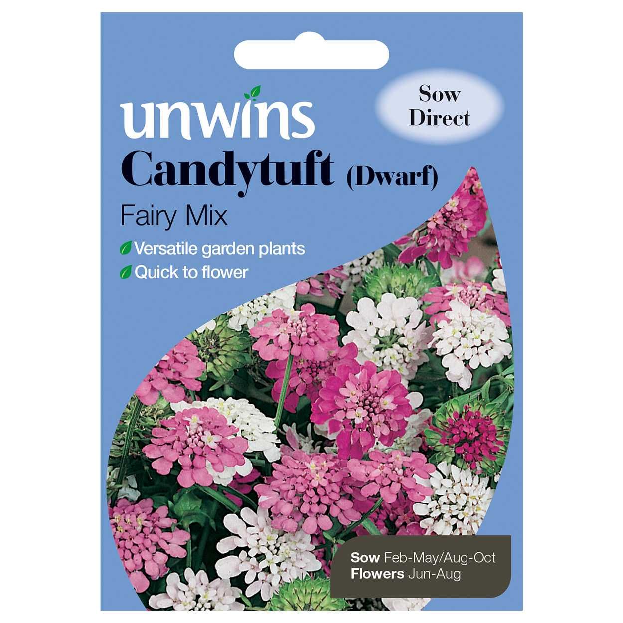 Candytuft Dwarf Fairy Mix