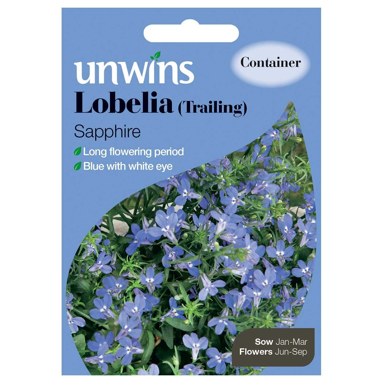 Lobelia Trailing Sapphire