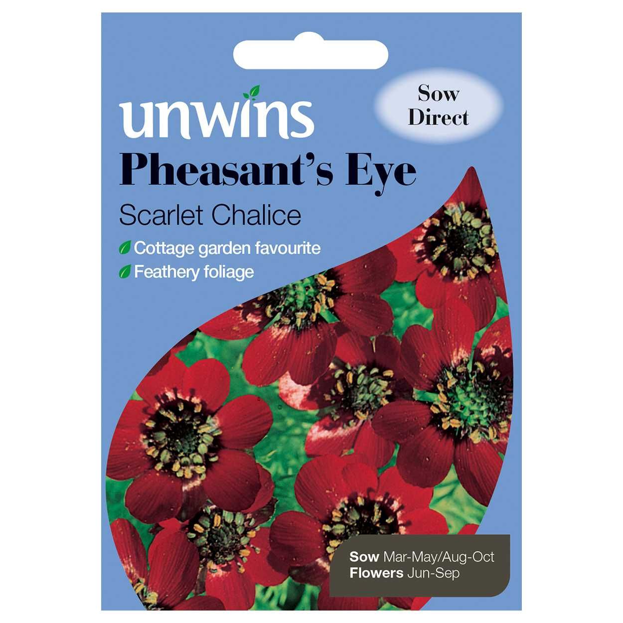 Pheasant's Eye Scarlet Chalice