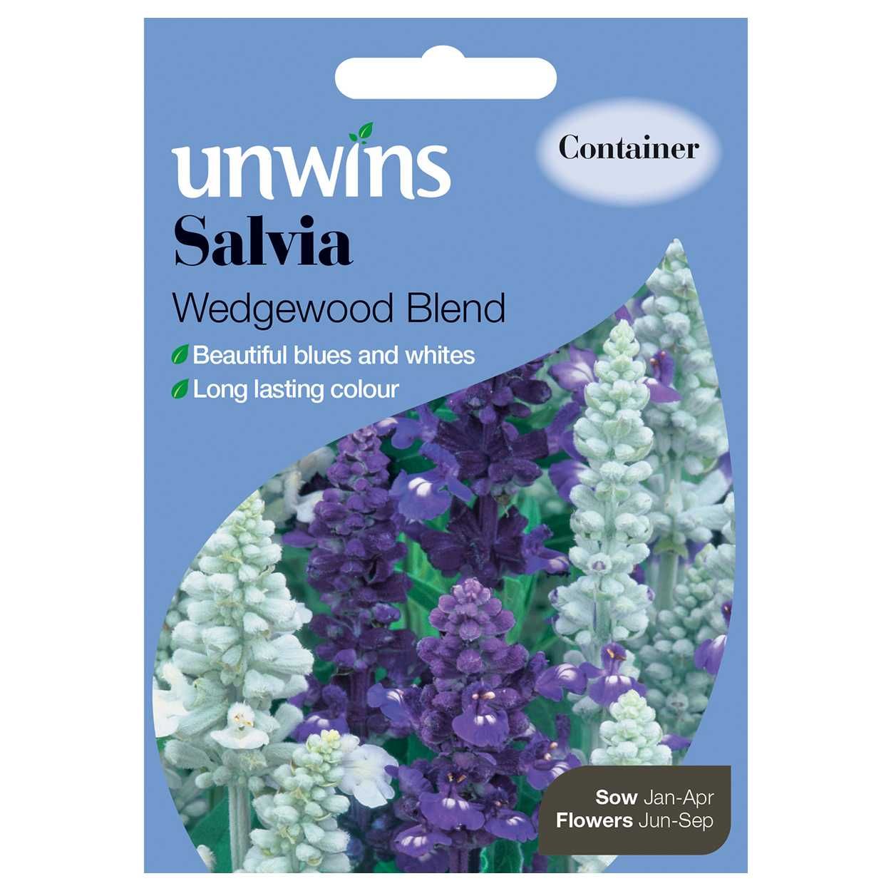 Salvia Wedgewood Blend