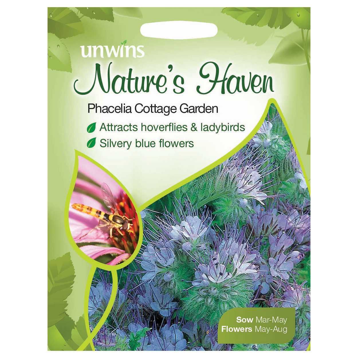 NH Phacelia Cottage Garden