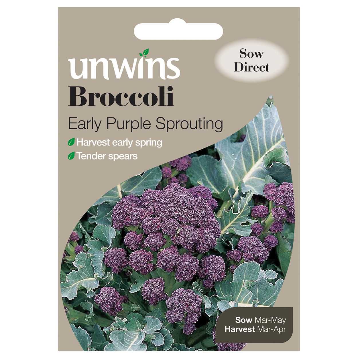 Broccoli Early Purple Sprouting
