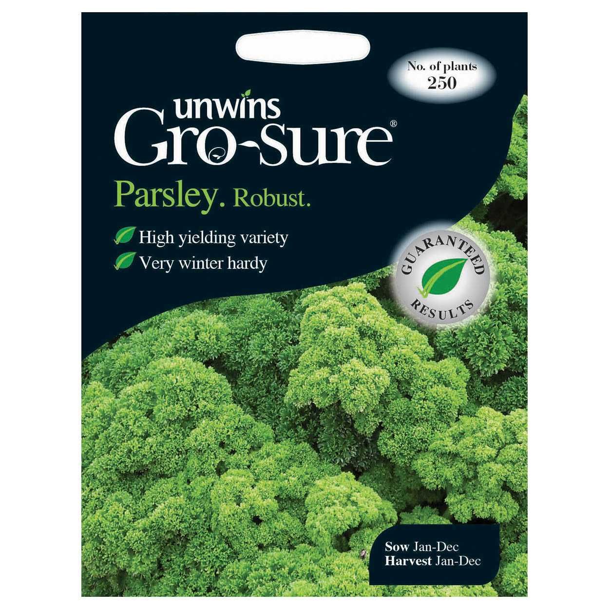 Herb Parsley Robust