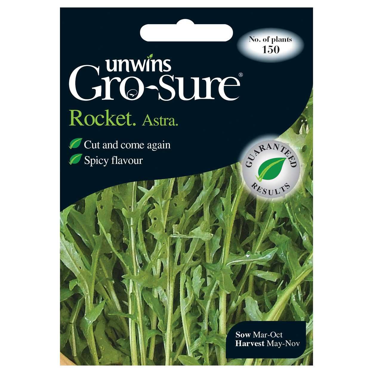 Herb Rocket Astra