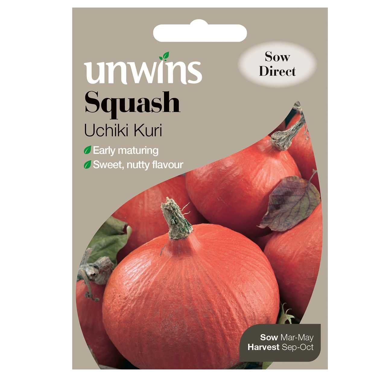 Squash Uchiki Kuri