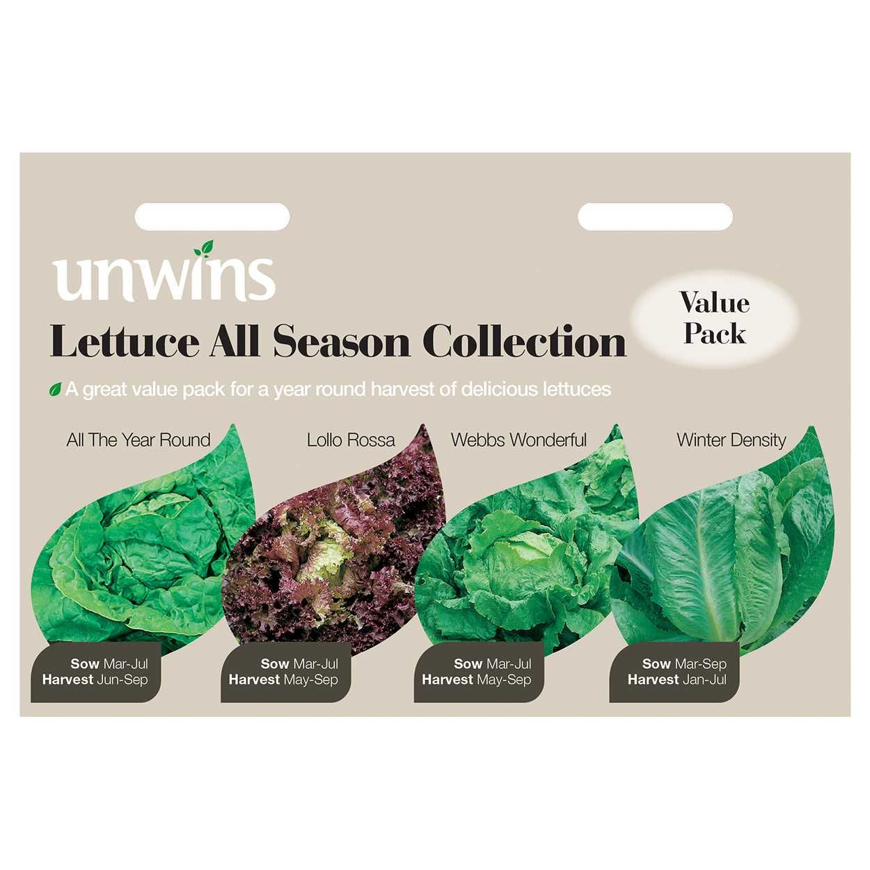 Lettuce All Season Collection