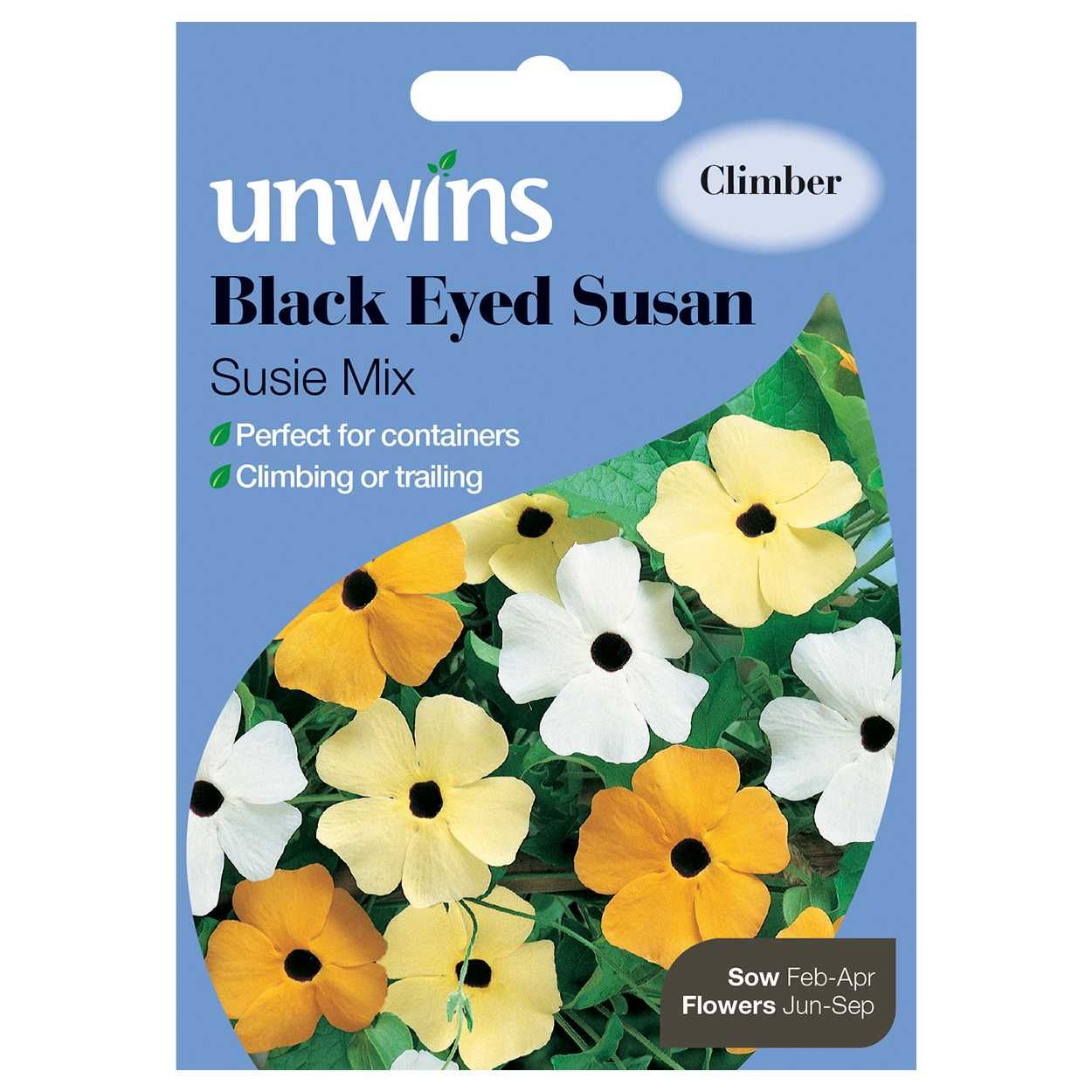 Black Eyed Susan Susie Mix