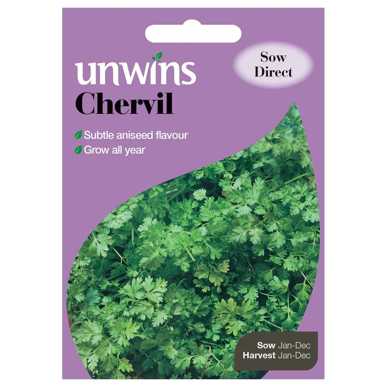 Herb Chervil