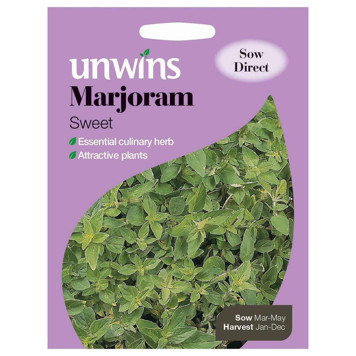 Herb Marjoram Sweet