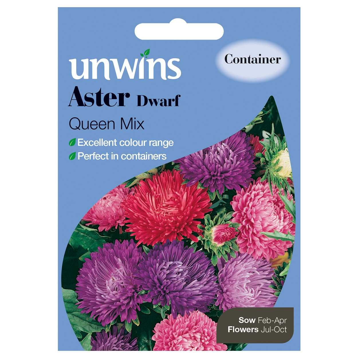 Aster Dwarf Queen Mix
