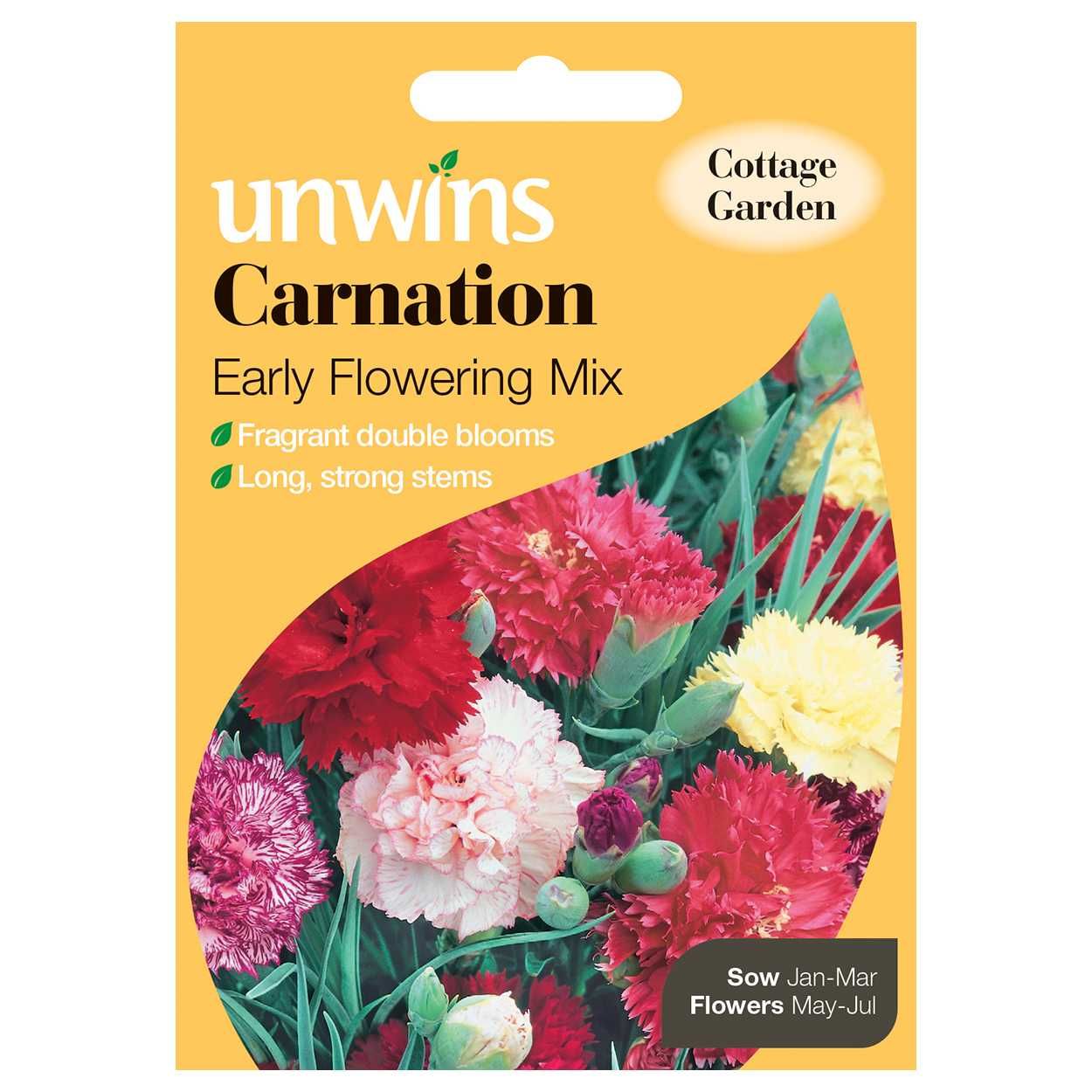 Carnation Early Flowering Mix