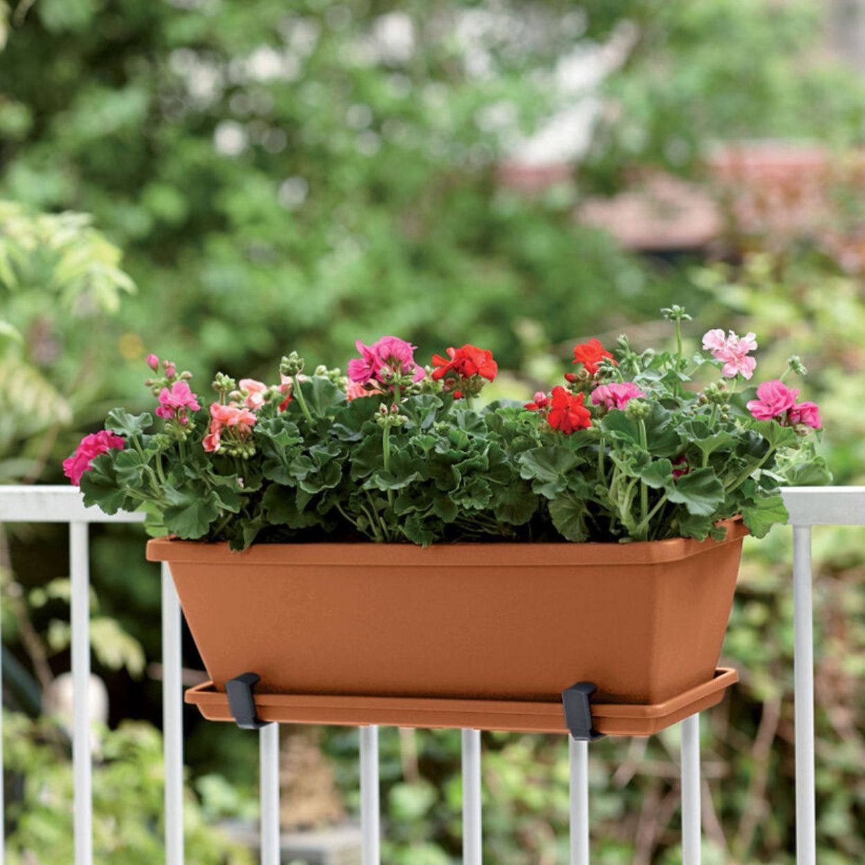 Barcelona Trough Terracotta 50cm