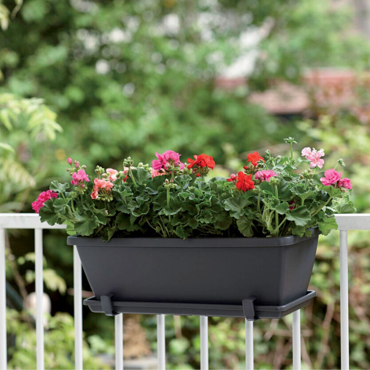 Barcelona Trough Anthracite 50cm