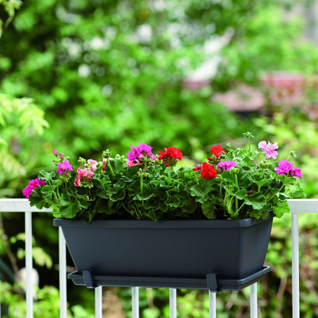 Barcelona Trough Anthracite 50cm