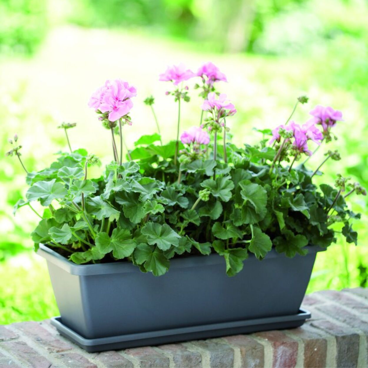 Barcelona Trough Anthracite 50cm