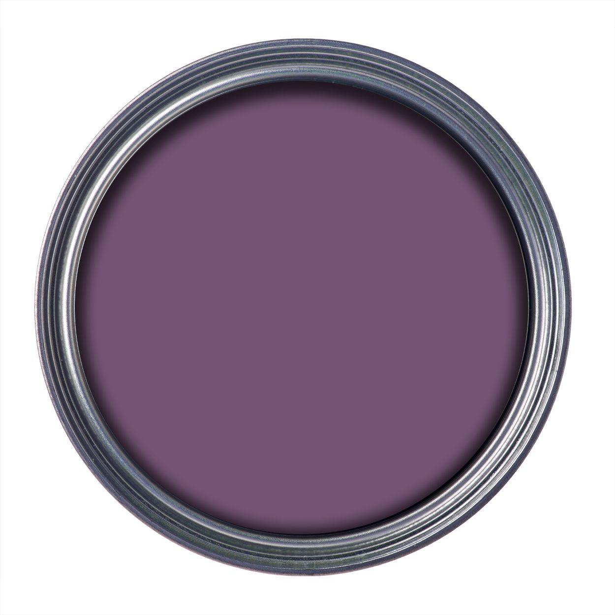 Ronseal 250 ml Garden Paint Purple Berry