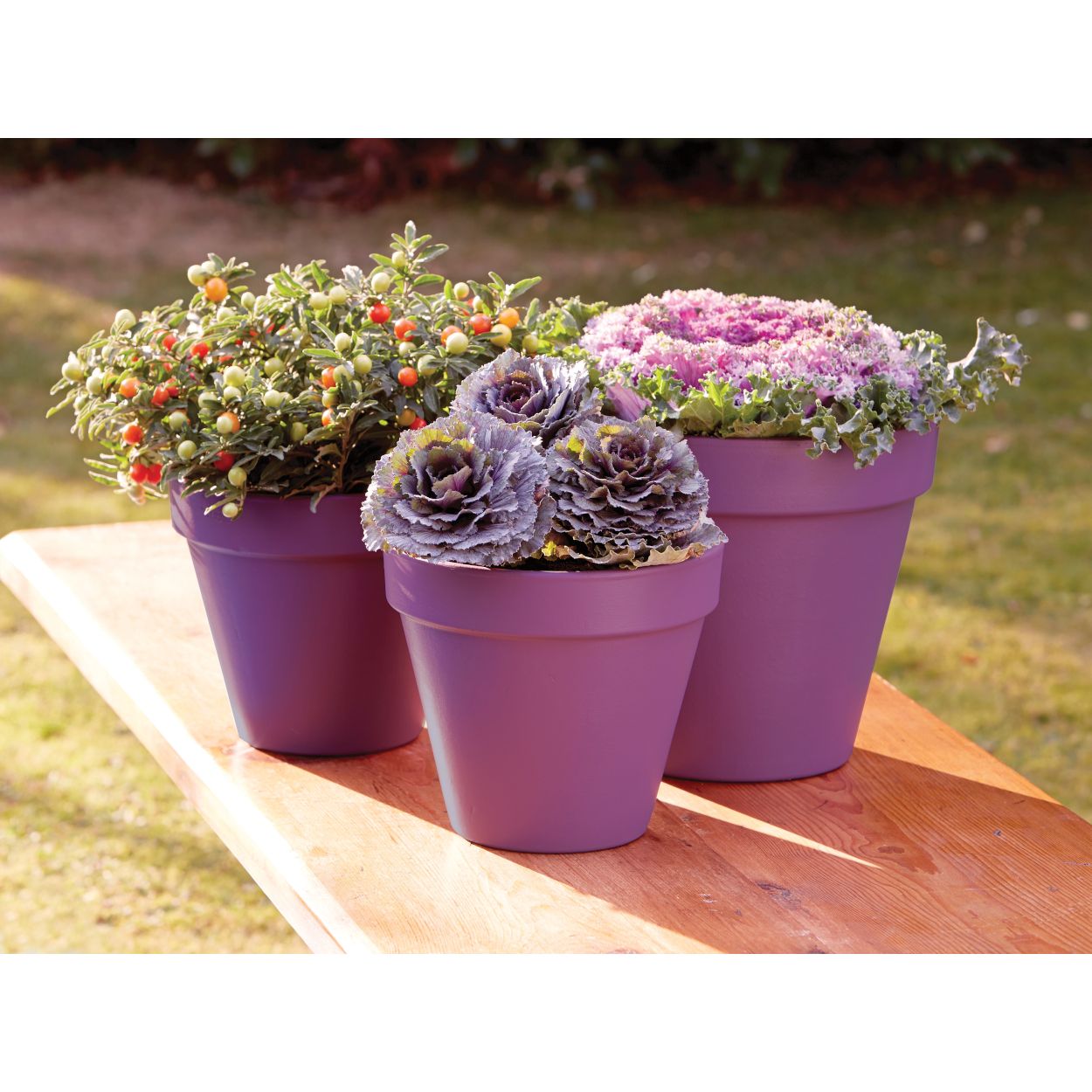 Ronseal 250 ml Garden Paint Purple Berry