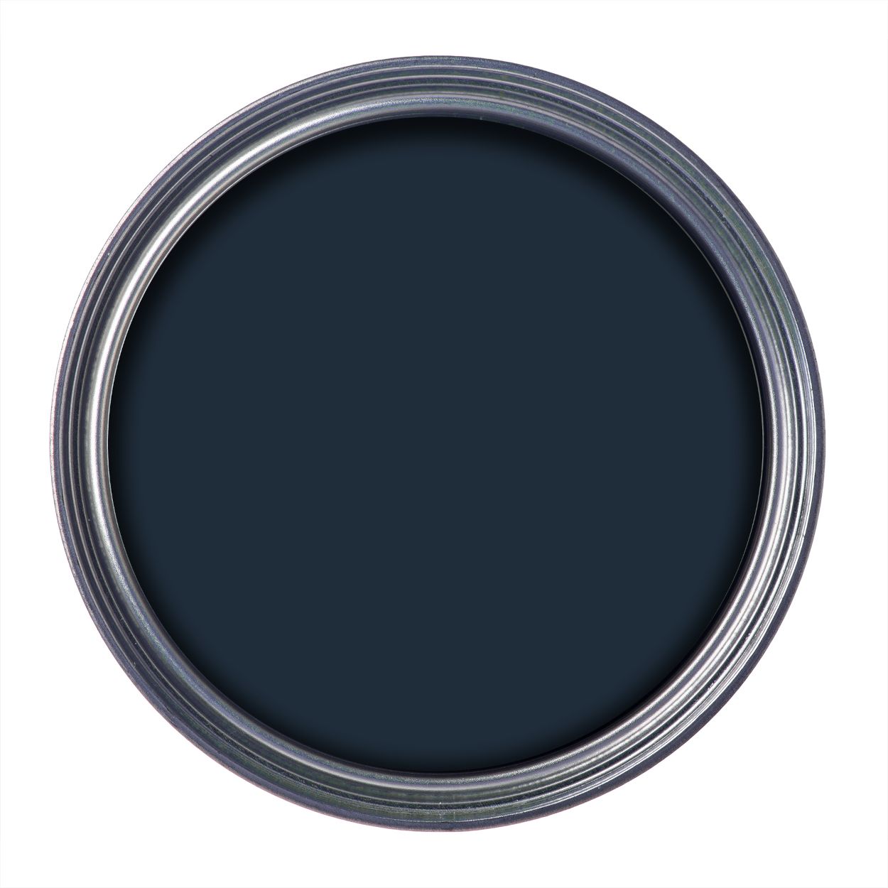 Ronseal 250ml Garden Paint Blackbird