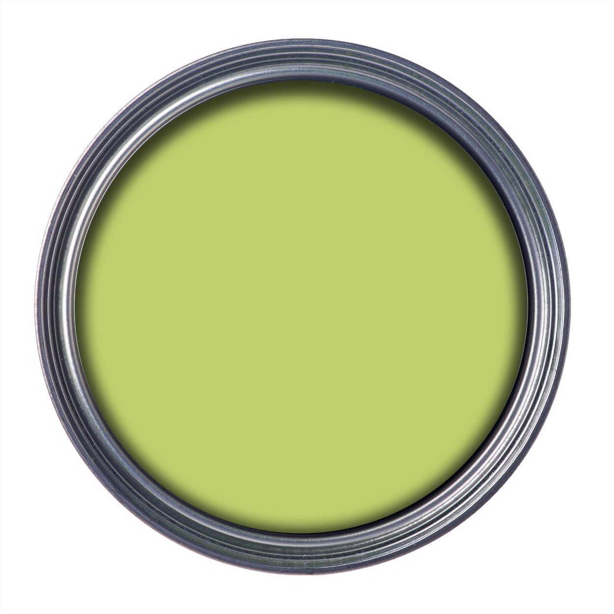 Ronseal 250ml Garden Paint Lime Zest