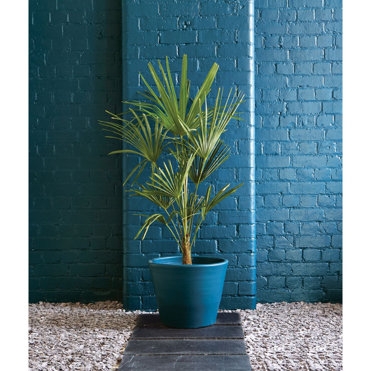 Ronseal 250ml Garden Paint Midnight Blue